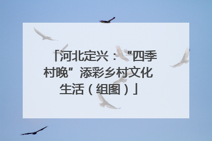 河北定兴：“四季村晚”添彩乡村文化生活（组图）