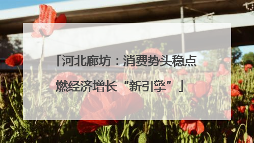河北廊坊：消费势头稳点燃经济增长“新引擎”