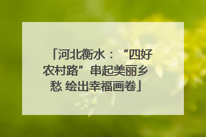 河北衡水：“四好农村路”串起美丽乡愁 绘出幸福画卷