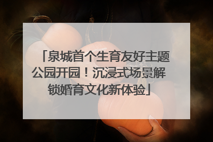 泉城首个生育友好主题公园开园！沉浸式场景解锁婚育文化新体验