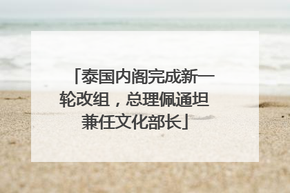 泰国内阁完成新一轮改组，总理佩通坦兼任文化部长
