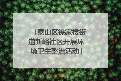 泰山区徐家楼街道新峪社区开展环境卫生整治活动