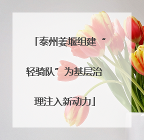 泰州姜堰组建“轻骑队”为基层治理注入新动力