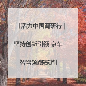 活力中国调研行｜坚持创新引领 京车智驾领跑赛道