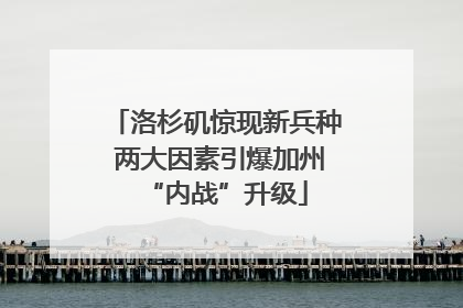 洛杉矶惊现新兵种 两大因素引爆加州“内战”升级