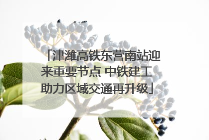 津潍高铁东营南站迎来重要节点 中铁建工助力区域交通再升级