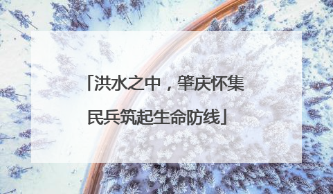 洪水之中，肇庆怀集民兵筑起生命防线