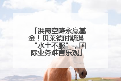 洪霞空降永赢基金！贝莱德时期遇“水土不服”，国际业务难言乐观