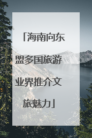 海南向东盟多国旅游业界推介文旅魅力