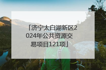 济宁太白湖新区2024年公共资源交易项目121项