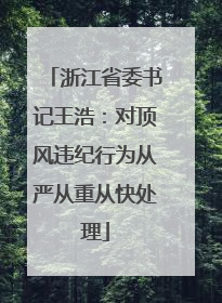 浙江省委书记王浩：对顶风违纪行为从严从重从快处理