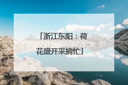 浙江东阳：荷花盛开采摘忙