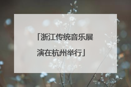 浙江传统音乐展演在杭州举行