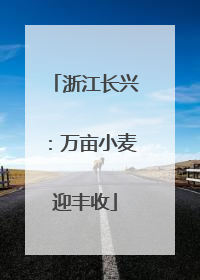 浙江长兴：万亩小麦迎丰收