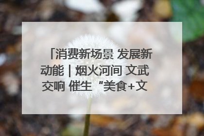 消费新场景 发展新动能｜烟火河间 文武交响 催生“美食+文化”消费新场景