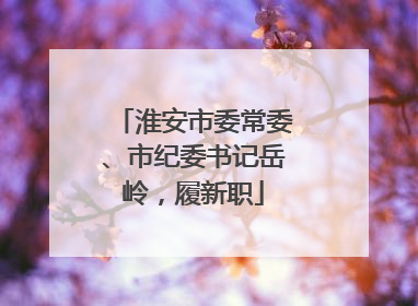淮安市委常委、市纪委书记岳岭，履新职