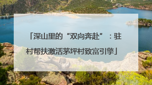 深山里的“双向奔赴”：驻村帮扶激活茅坪村致富引擎