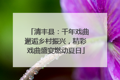 清丰县：千年戏曲邂逅乡村振兴，精彩戏曲盛宴燃动夏日