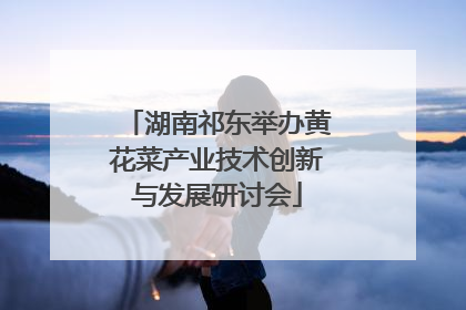 湖南祁东举办黄花菜产业技术创新与发展研讨会