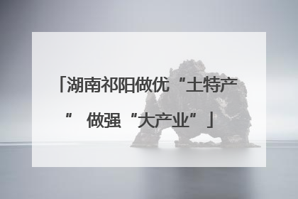湖南祁阳做优“土特产” 做强“大产业”