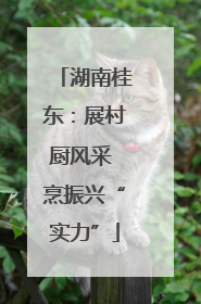 湖南桂东：展村厨风采 烹振兴“实力”