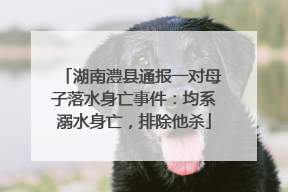 湖南澧县通报一对母子落水身亡事件：均系溺水身亡，排除他杀