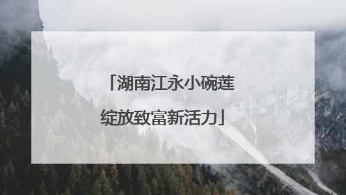 湖南江永小碗莲绽放致富新活力