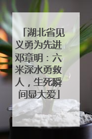 湖北省见义勇为先进邓章明：六米深水勇救人，生死瞬间显大爱