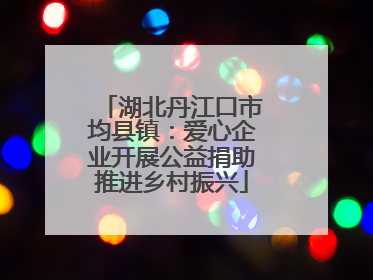 湖北丹江口市均县镇：爱心企业开展公益捐助推进乡村振兴