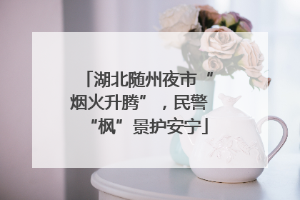 湖北随州夜市“烟火升腾”，民警“枫”景护安宁