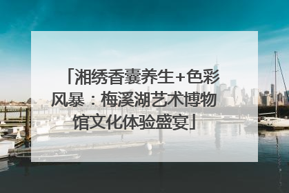 湘绣香囊养生+色彩风暴：梅溪湖艺术博物馆文化体验盛宴