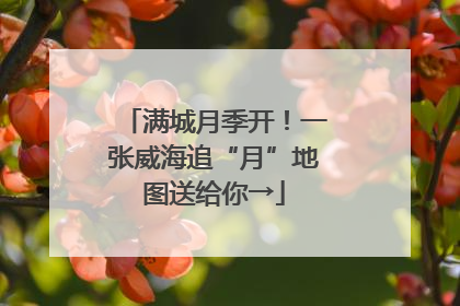 满城月季开！一张威海追“月”地图送给你→