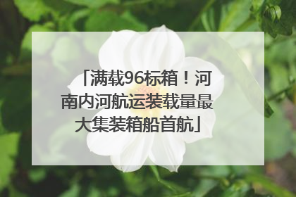 满载96标箱！河南内河航运装载量最大集装箱船首航