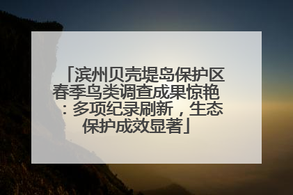 滨州贝壳堤岛保护区春季鸟类调查成果惊艳：多项纪录刷新，生态保护成效显著
