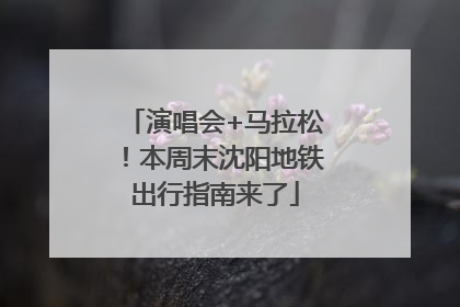 演唱会+马拉松！本周末沈阳地铁出行指南来了