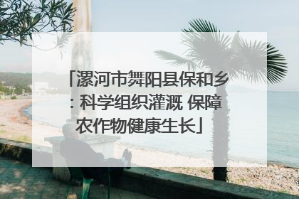 漯河市舞阳县保和乡：科学组织灌溉 保障农作物健康生长