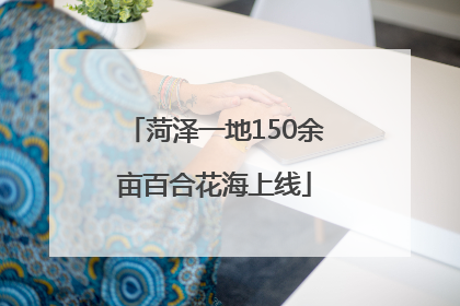 菏泽一地150余亩百合花海上线