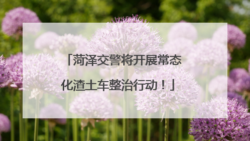 菏泽交警将开展常态化渣土车整治行动！