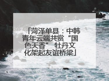 菏泽单县：中韩青年云端共赏“国色天香” 牡丹文化架起友谊桥梁