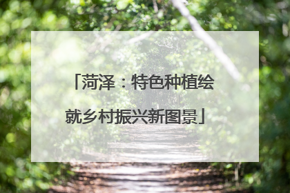 菏泽：特色种植绘就乡村振兴新图景
