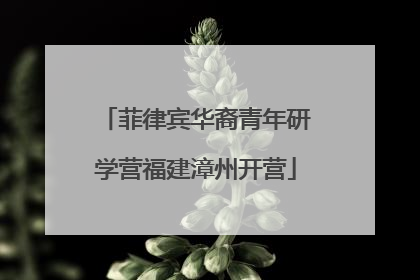 菲律宾华裔青年研学营福建漳州开营