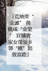 荒地变“金滩” 黄桃成“金果” 宜城农家女带领乡邻“桃”出致富路
