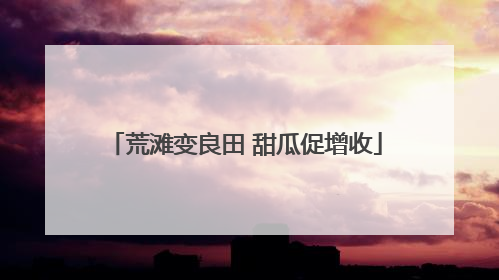 荒滩变良田 甜瓜促增收