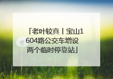 老叶较真丨宝山1604路公交车增设两个临时停靠站