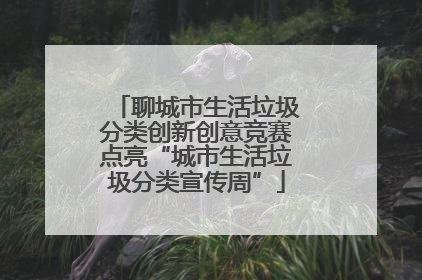 聊城市生活垃圾分类创新创意竞赛点亮“城市生活垃圾分类宣传周”