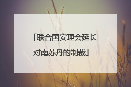 联合国安理会延长对南苏丹的制裁