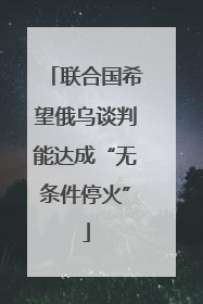 联合国希望俄乌谈判能达成“无条件停火”