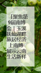 聚焦第9届南博会｜玉溪抚仙湖畔旅居经济上南博 展示云南生活新样本