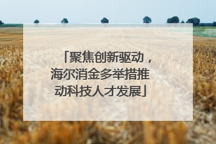 聚焦创新驱动，海尔消金多举措推动科技人才发展