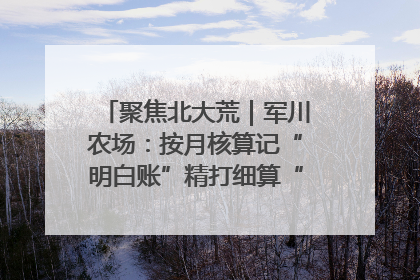 聚焦北大荒｜军川农场：按月核算记“明白账”精打细算“过紧日子”